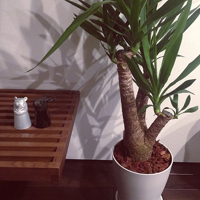 uchizukuriさんの実例写真