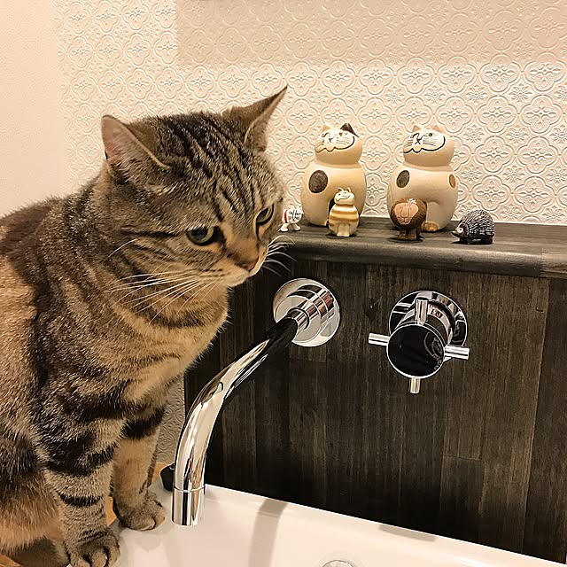 kaedeさんの実例写真