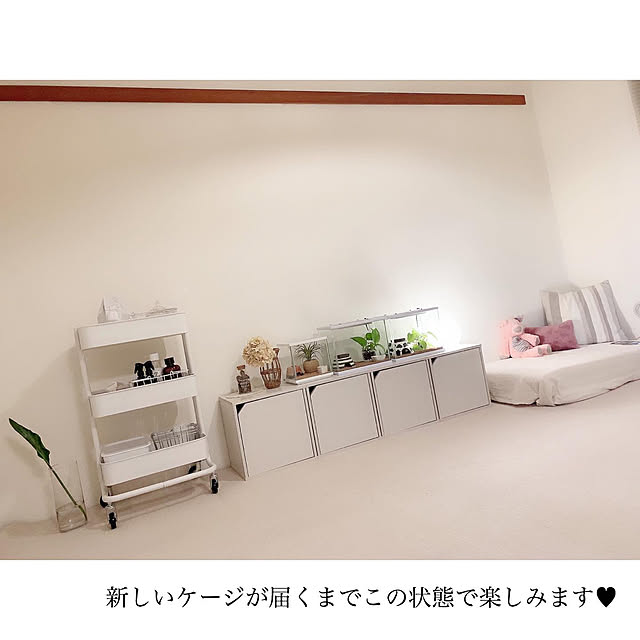 chaluさんの実例写真