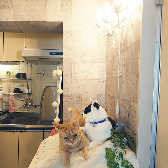 asuminさんの実例写真
