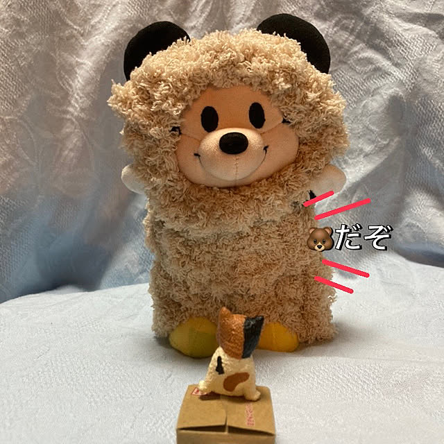 manduonmaさんの実例写真