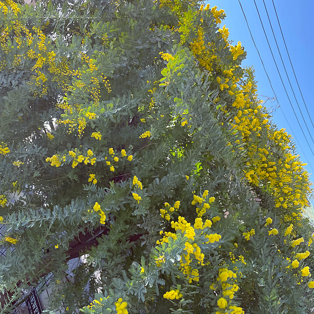 yupponさんの部屋