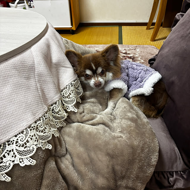 chIoeさんの部屋