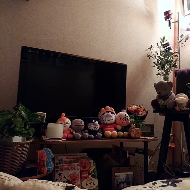 Hitomi-123naitoさんの実例写真