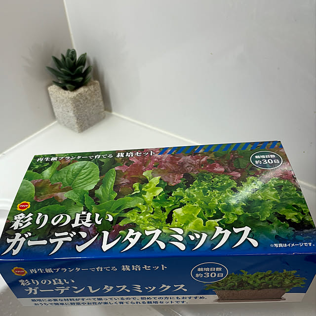 syutmmさんの部屋