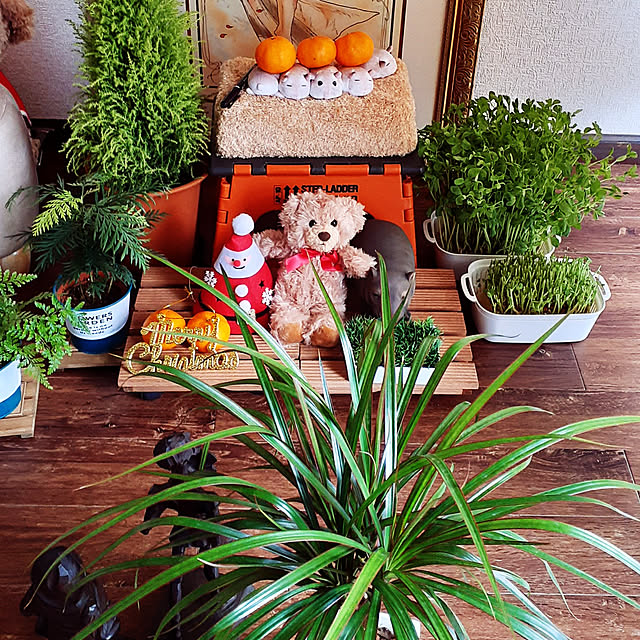 takayasuさんの実例写真