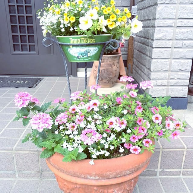 実例写真