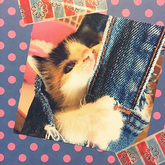 chukinoさんの実例写真
