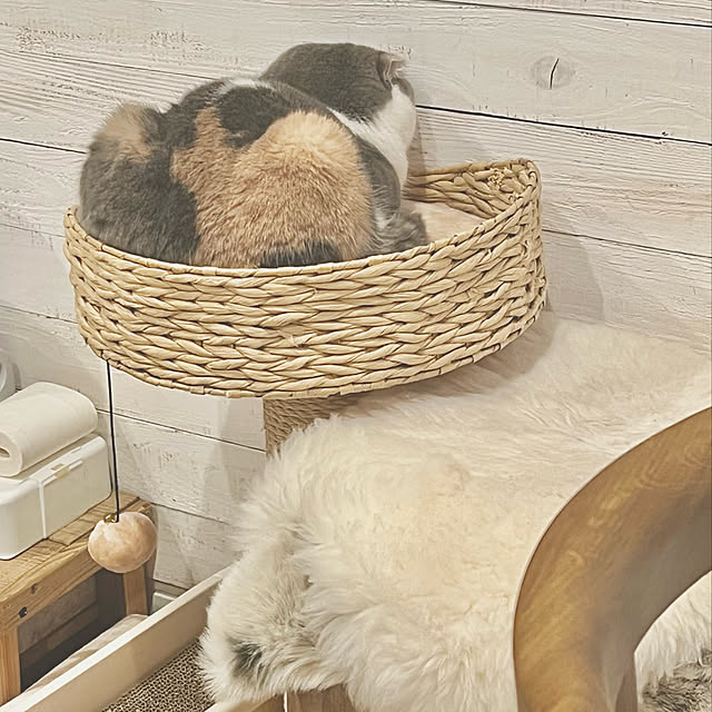 runtenさんの実例写真