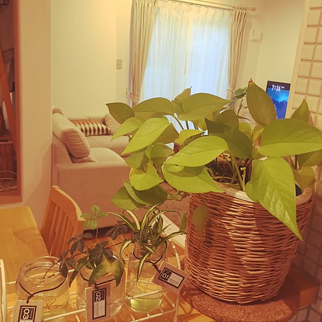 yumicloverさんの実例写真
