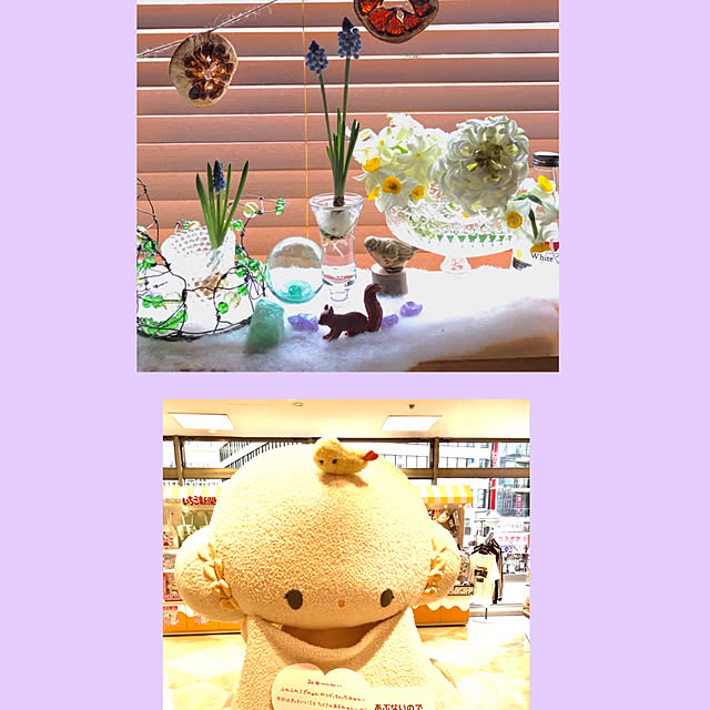ankoさんの実例写真