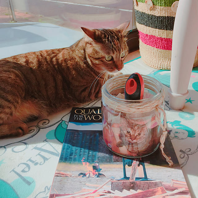 MASAさんの実例写真