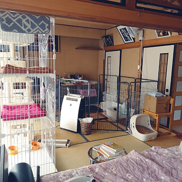 animaruloveさんの実例写真