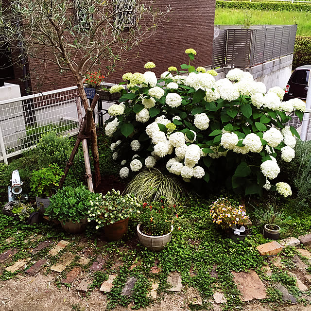 yukieさんの実例写真