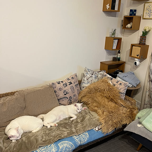 hanaさんの実例写真