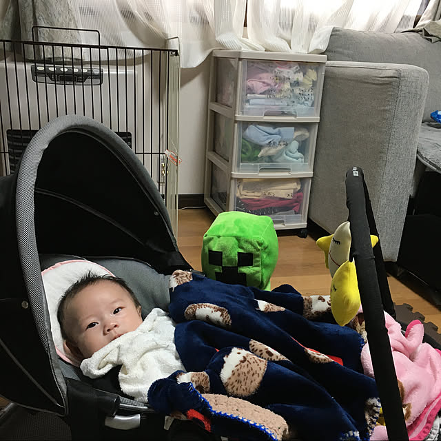 momomamaさんの実例写真