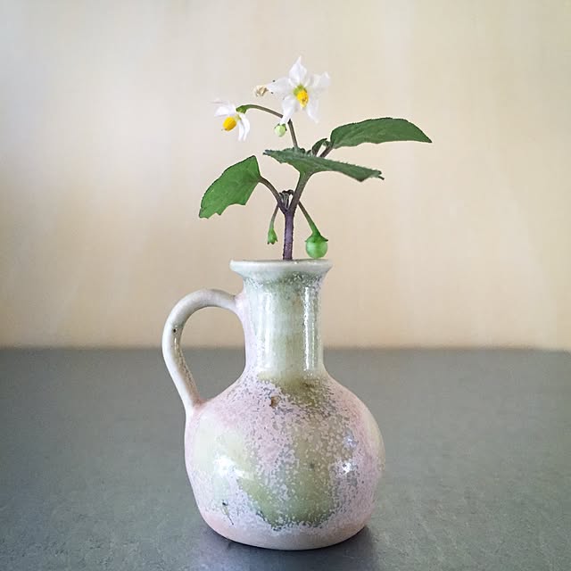 mohayaeteさんの実例写真