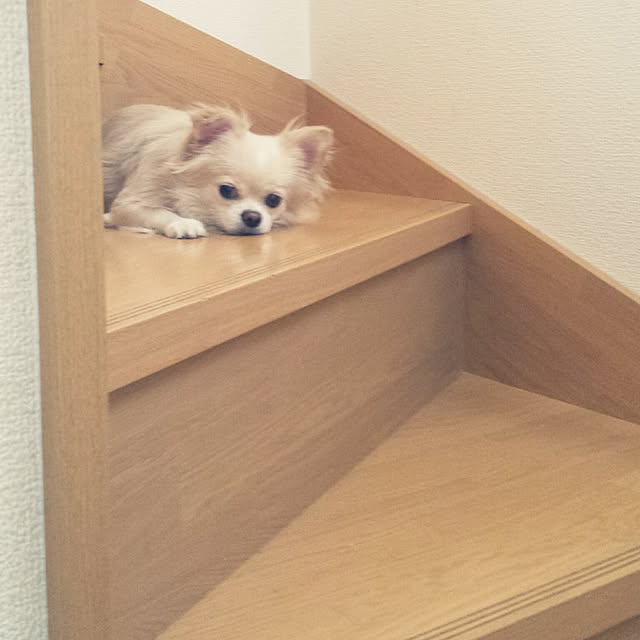u.nob.916-さんの実例写真