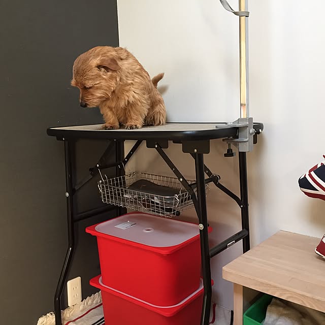 Fuyueさんの実例写真