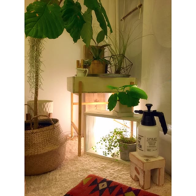 Hisayoさんの実例写真