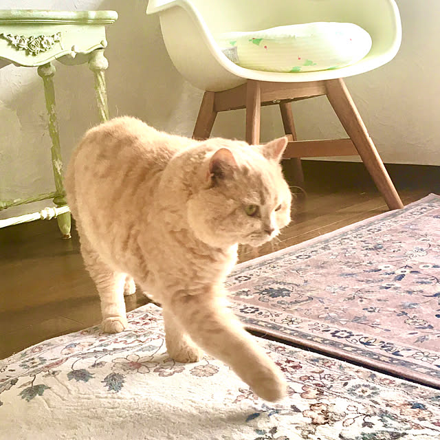 naokoさんの部屋