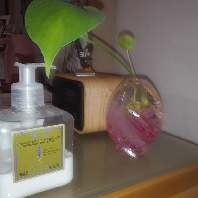 キッチン/モンステラ/ミッキーマウス/L'OCCITANE/ハンドクリーム...などのインテリア実例 - 2021-02-09 22:41:19