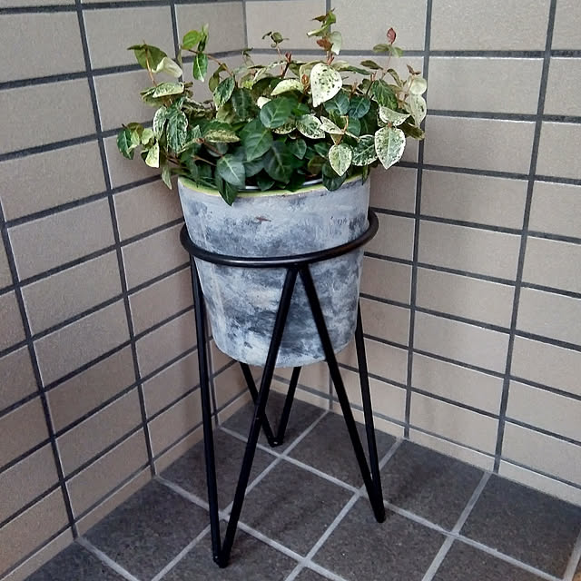 mikoさんの実例写真