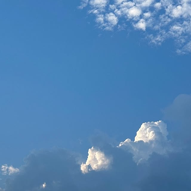 kumutanさんの部屋