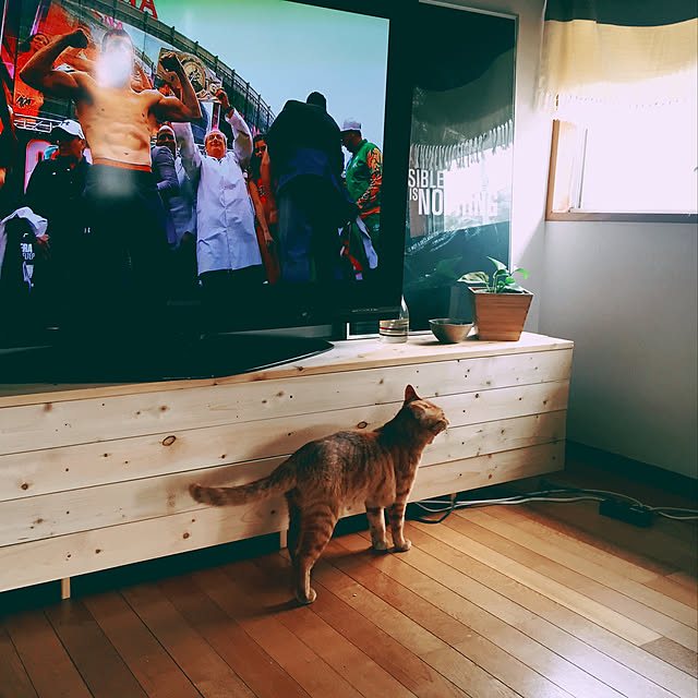 ttoさんの実例写真