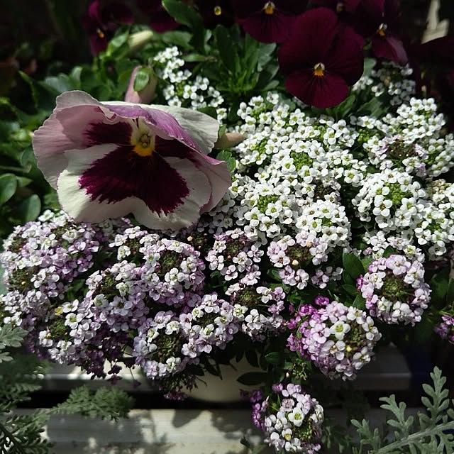 katさんの実例写真