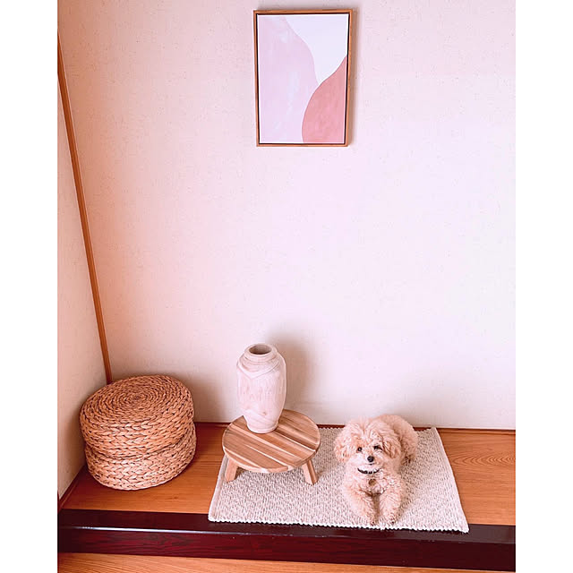 teaさんの実例写真