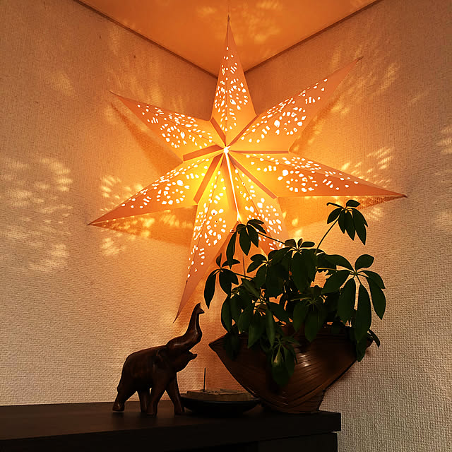 観葉植物/照明/壁/天井のインテリア実例 - 2020-09-17 22:33:46