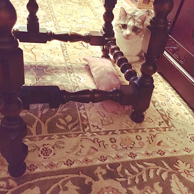 emmyyさんの実例写真