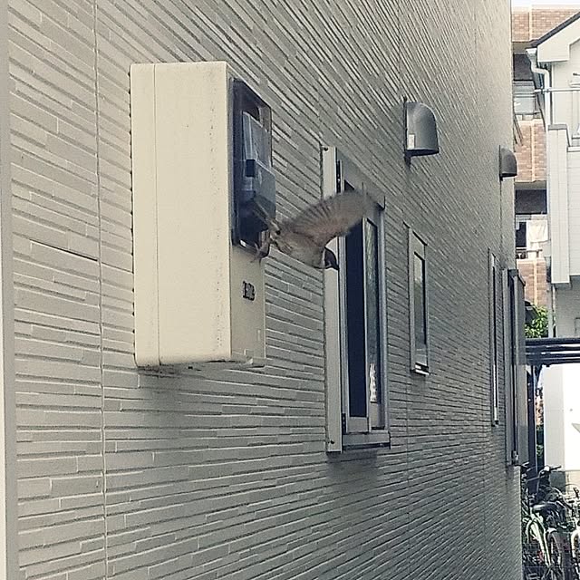 tomoさんの部屋