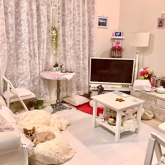 IKEA/100均/一人暮らし/ニトリ/セリア...などのインテリア実例 - 2020-05-10 00:17:41