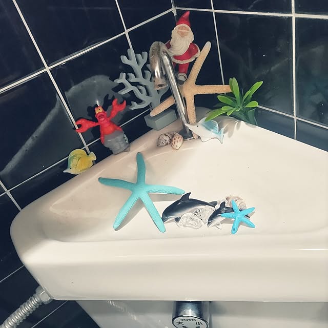 tantomeenさんの実例写真