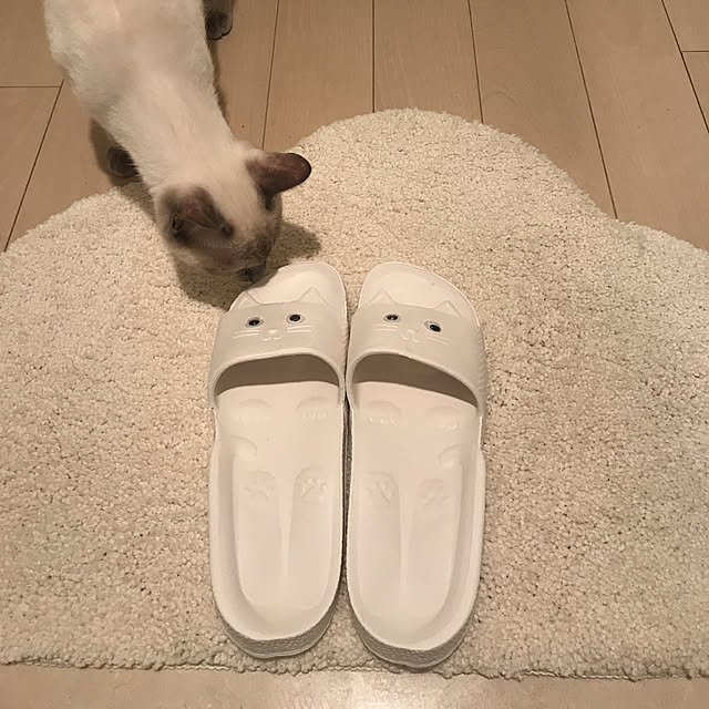 koppeさんの実例写真