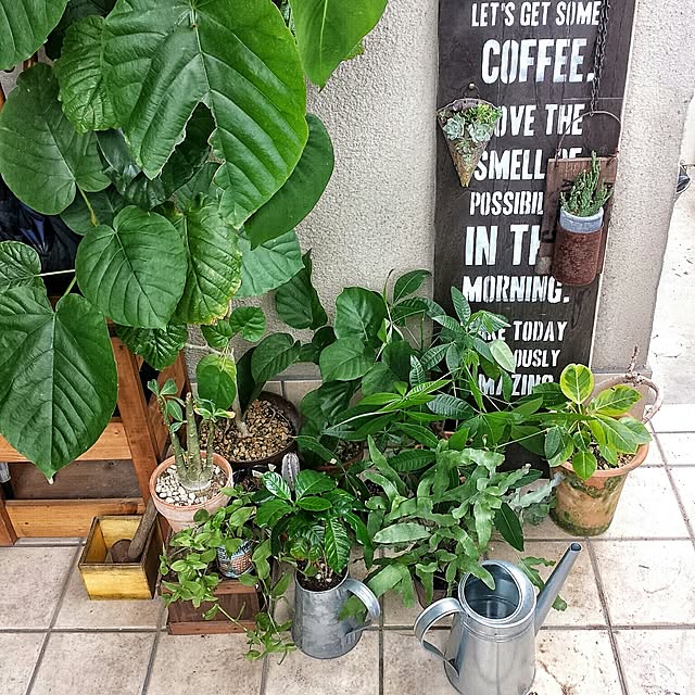 chobiさんの実例写真