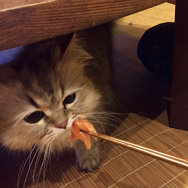 butachanさんの実例写真
