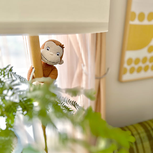 miyuさんの部屋