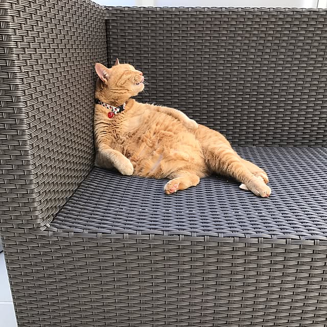 minakoさんの実例写真