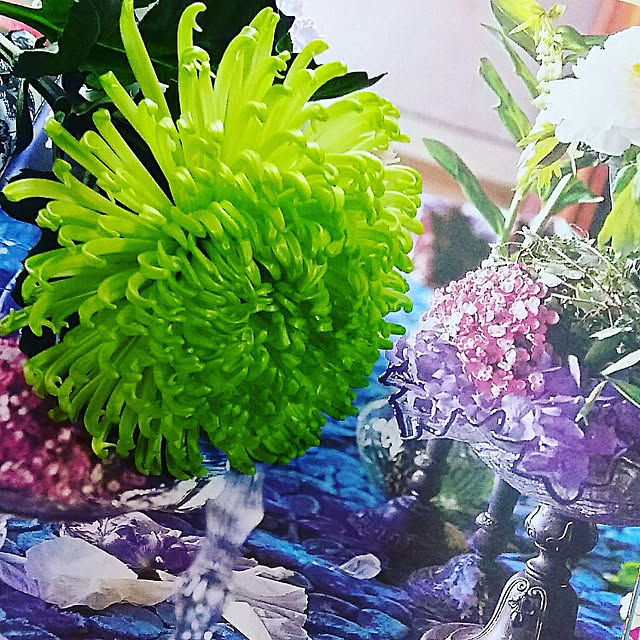 atelier.dot.kobeさんの実例写真