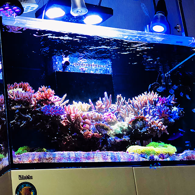 aquarium_seaさんの実例写真