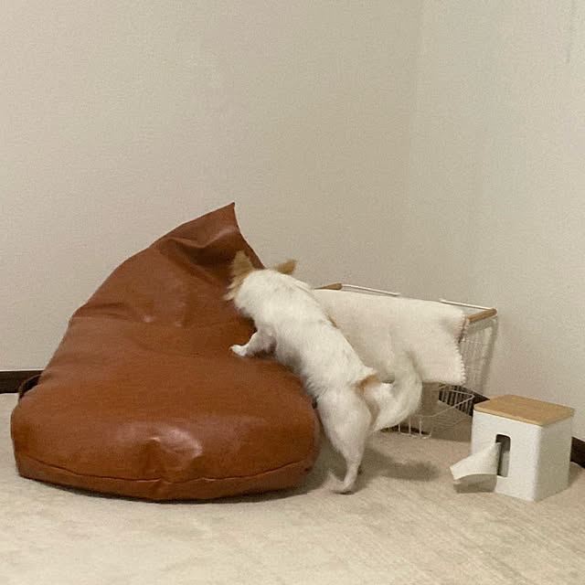 toratanさんの実例写真
