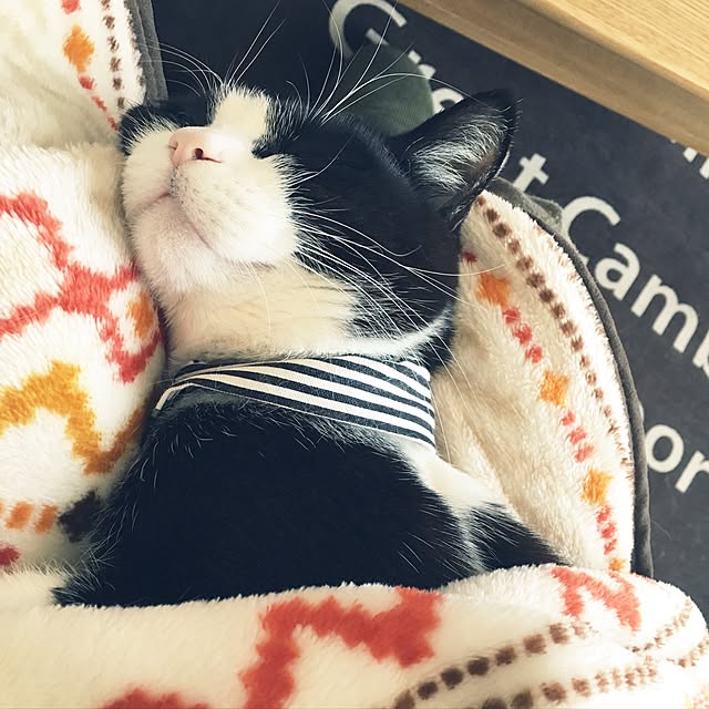 mametaroさんの実例写真