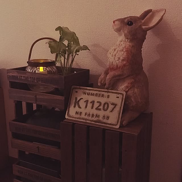 akoさんの実例写真