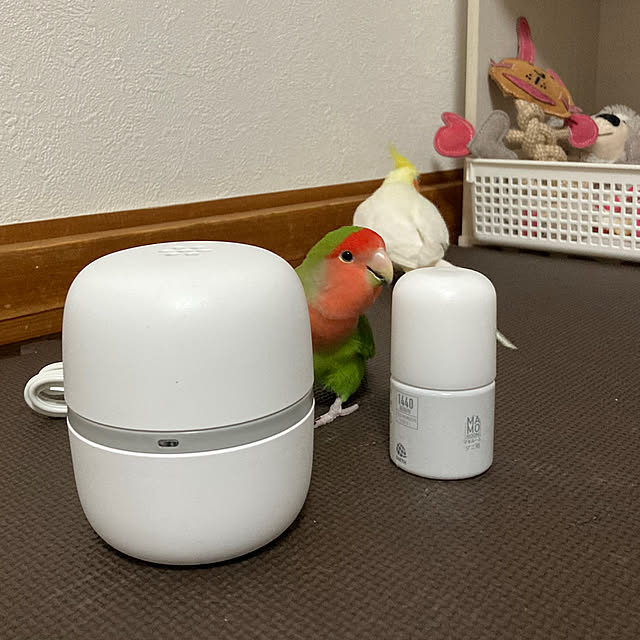 toratanさんの部屋
