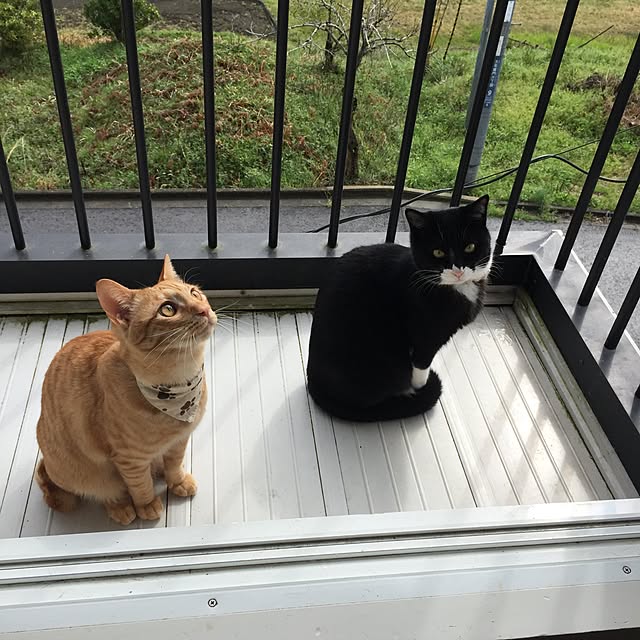 mtkさんの実例写真