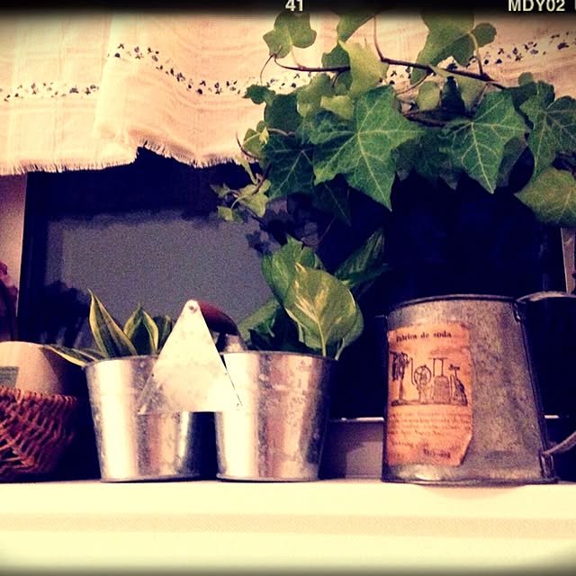 Rans_andy.さんの実例写真