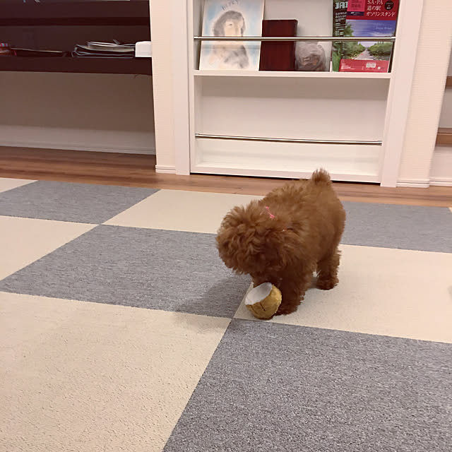 otsutaudonkoさんの実例写真